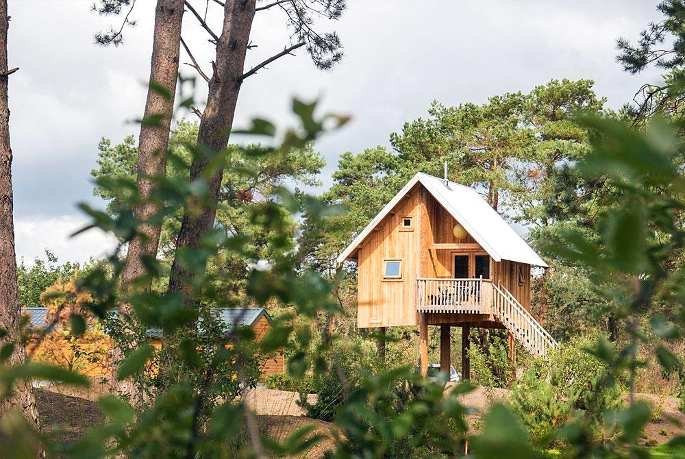 Resort De Wije Werelt, Veluwe