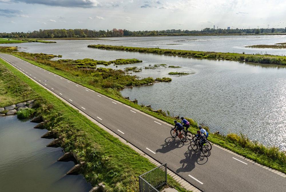 Fietsen in De Biesbosch
