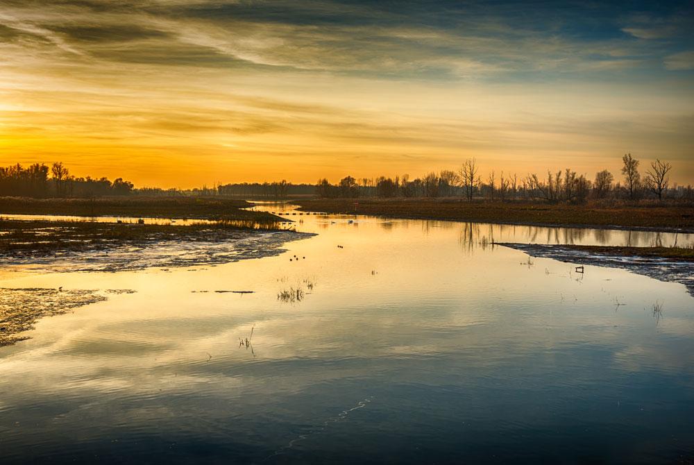 Zonsondergang in de Biesbosch