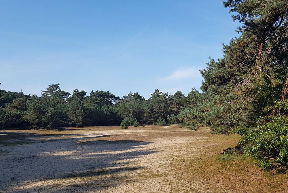 Veluwe natuur, Park Berkenrhode