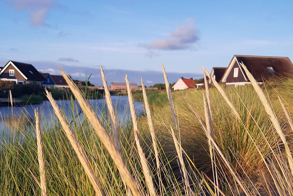 Landal Strand Resort Ouddorp Duin