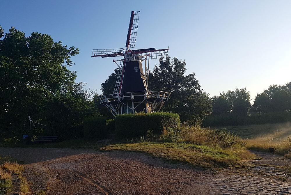 Molentje Brouwershaven, Landal Ouddorp Duin