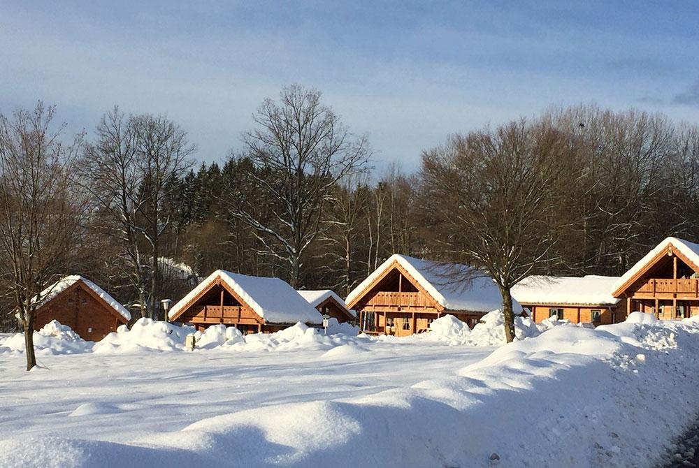 Landal Arber in de winter