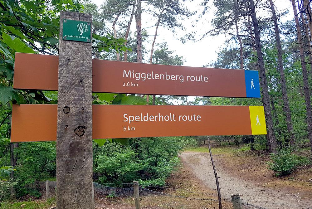 Landal Miggelenberg veluwe wandelen