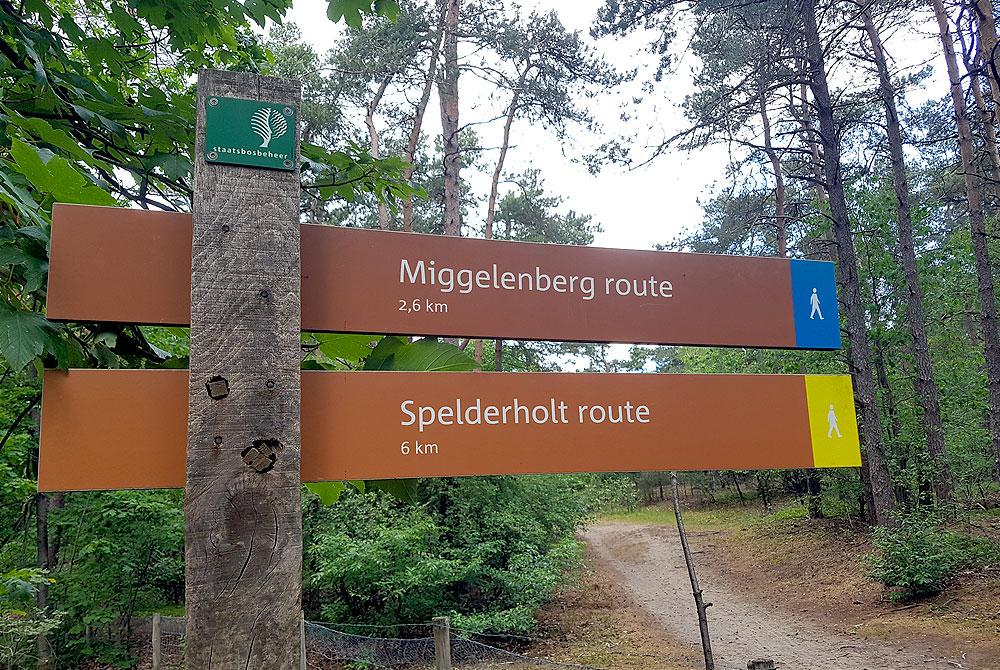 Landal Miggelenberg wandelen