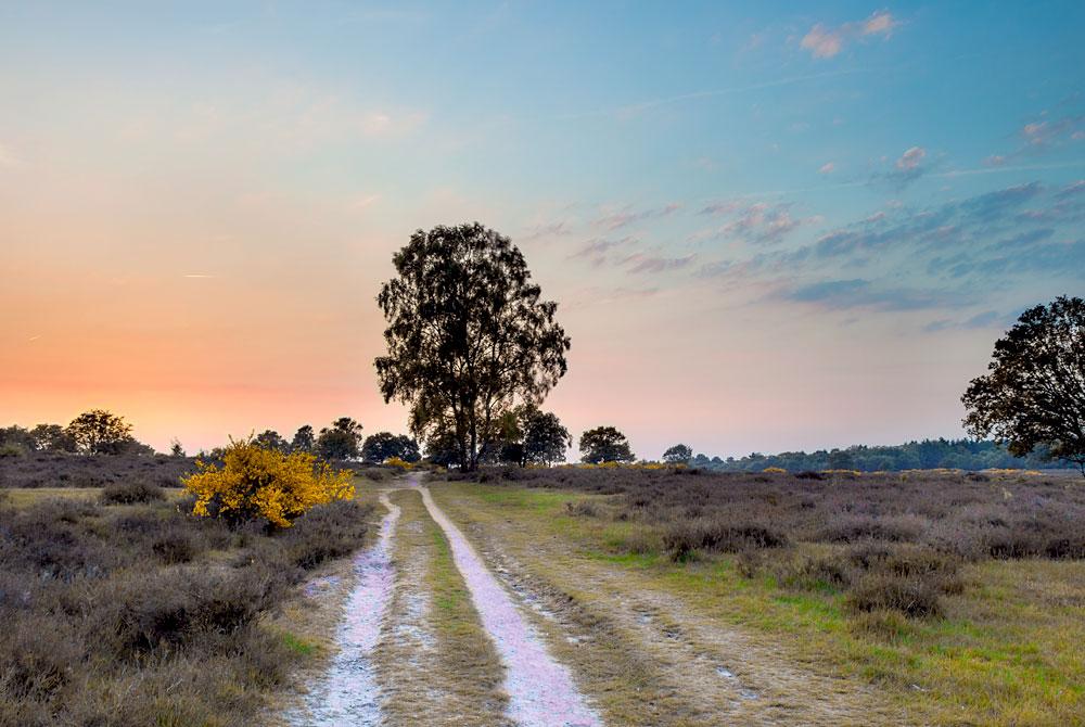 Utrechtse Heuvelrug, Landal Amerongse Berg