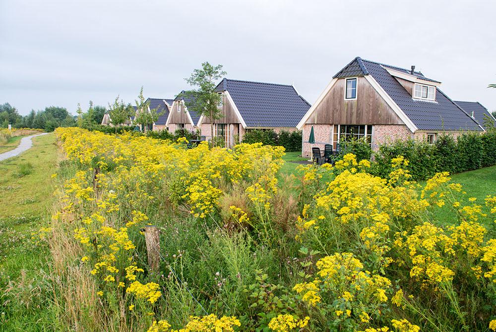 Bungalows, Landal Orveltermarke