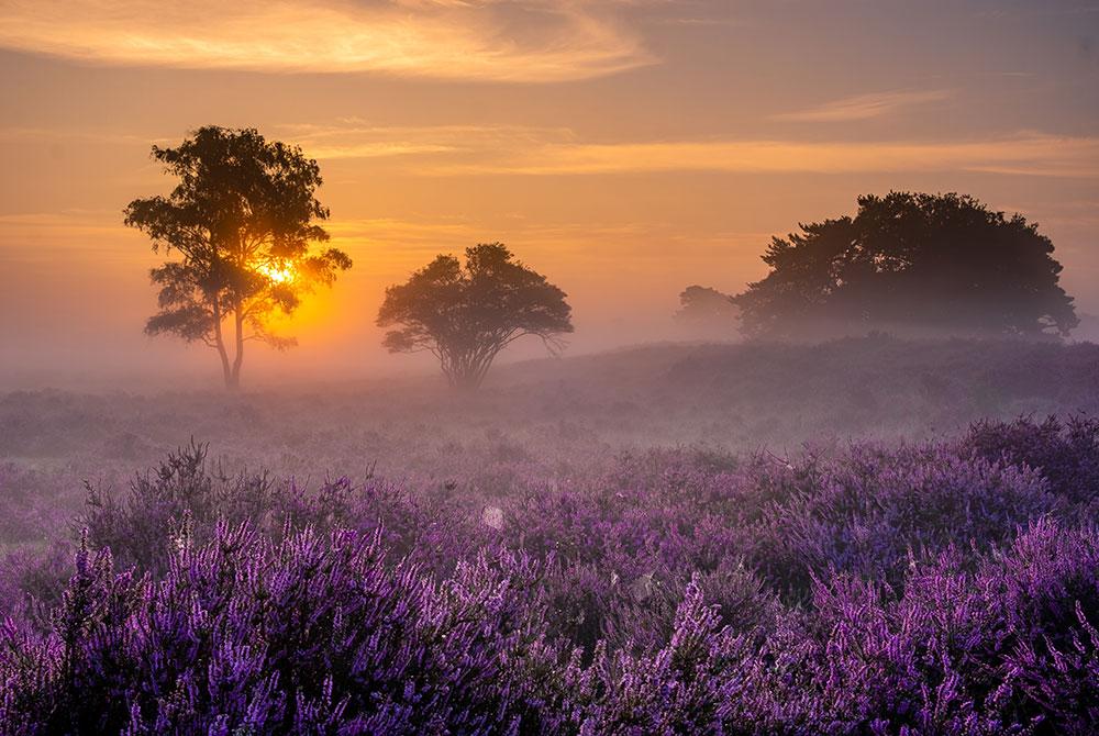 Vakantiepark Ackersate, Veluwe