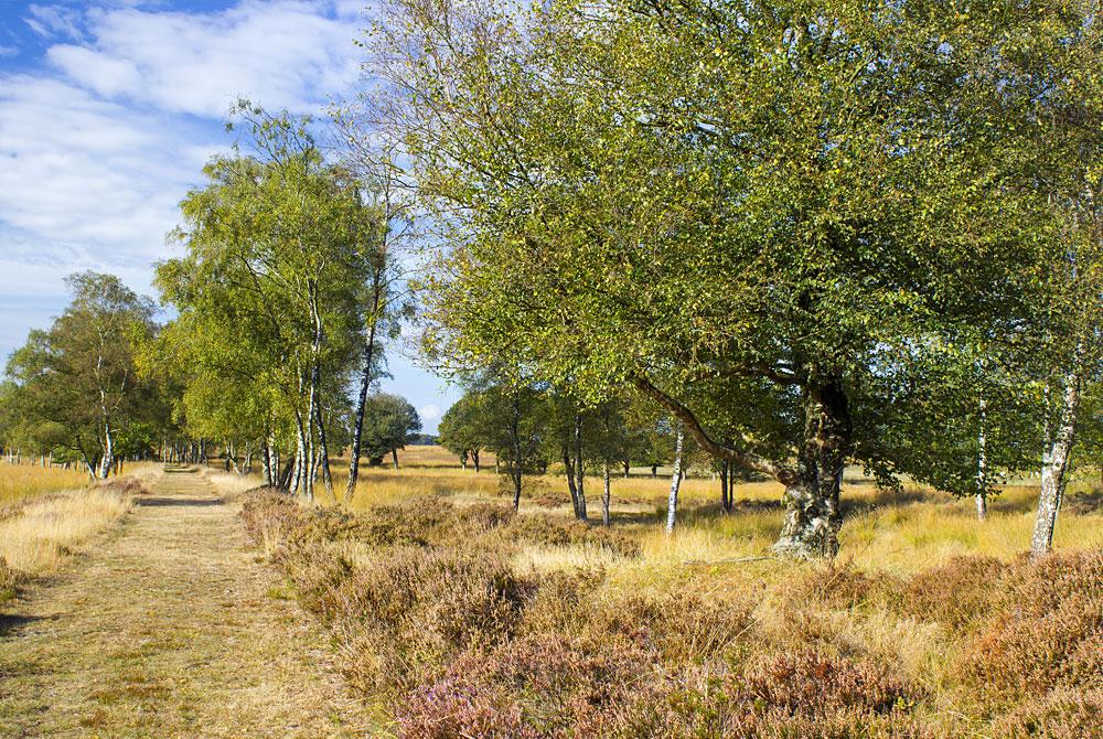 Veluwe, Vakantiepark Ackersate