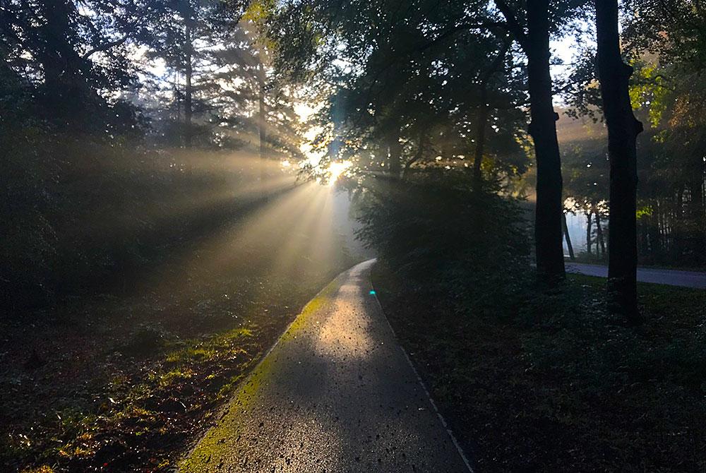 Fietsen op Veluwe, Vakantiepark Ackersate