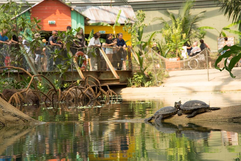 Dierentuin, Vakantiepark Ackersate
