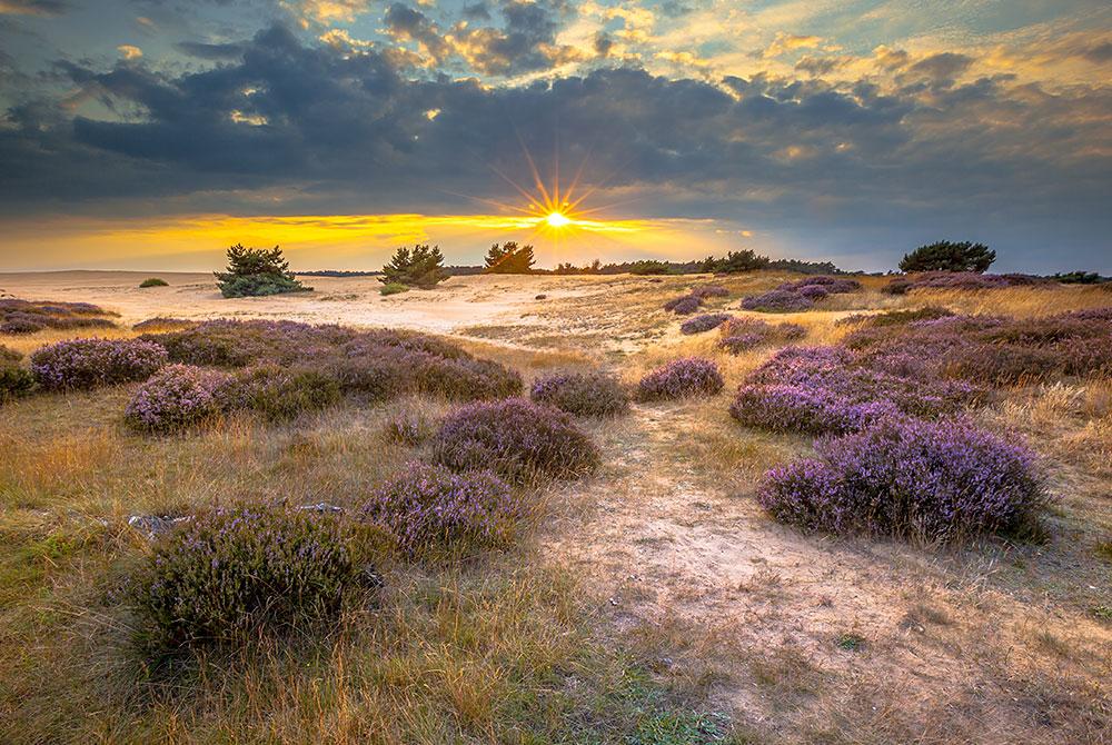 Ackersate veluwe
