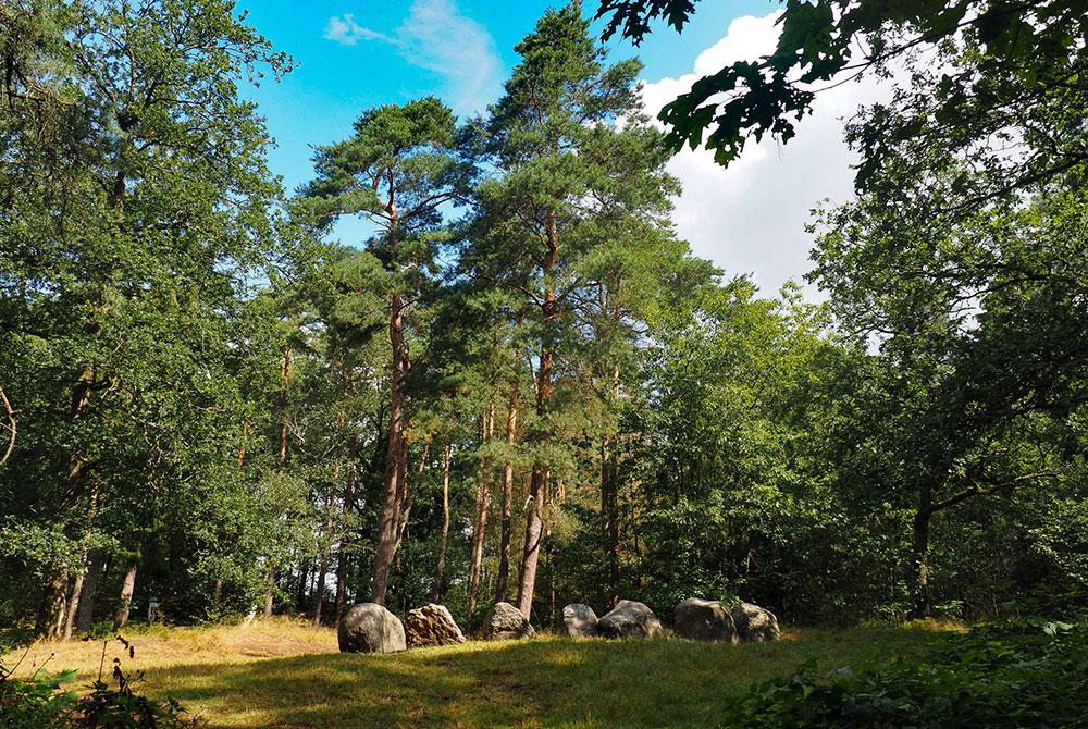 Sabeltandtijgerspoor, Landal PUUR Exloo