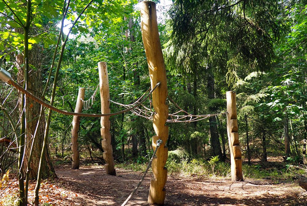 Sabeltandtijgerspoor wandeling, Landal PUUR Exloo