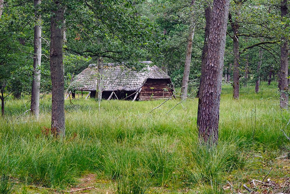 de Drentse bossen, Landal PUUR Exloo
