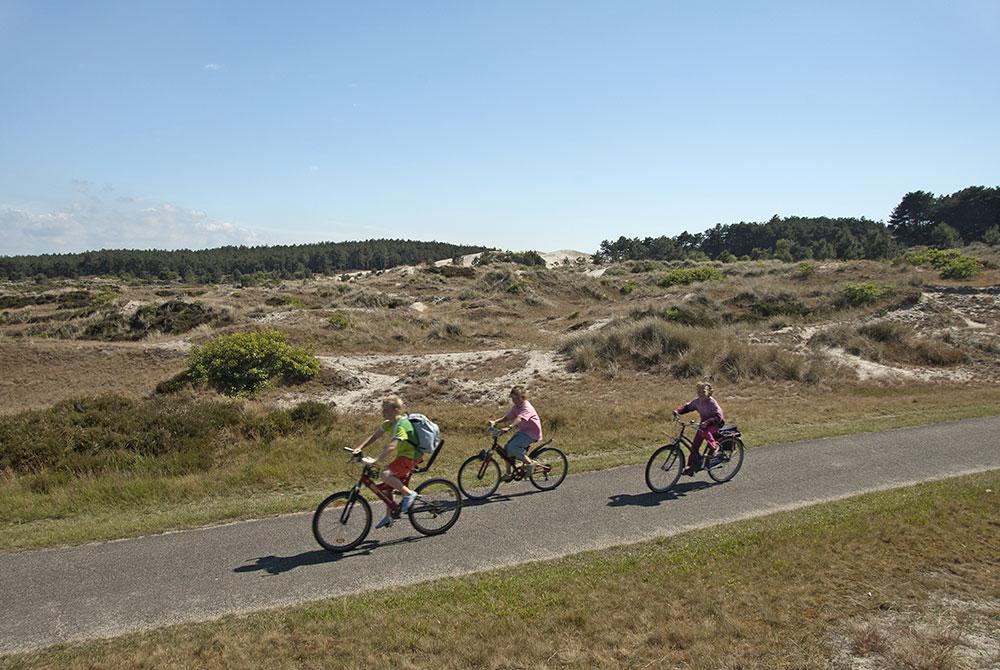 Duinen bij Schoorl