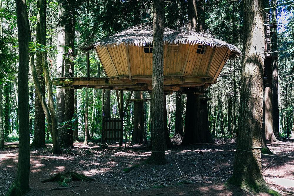 Roompot boomhut
