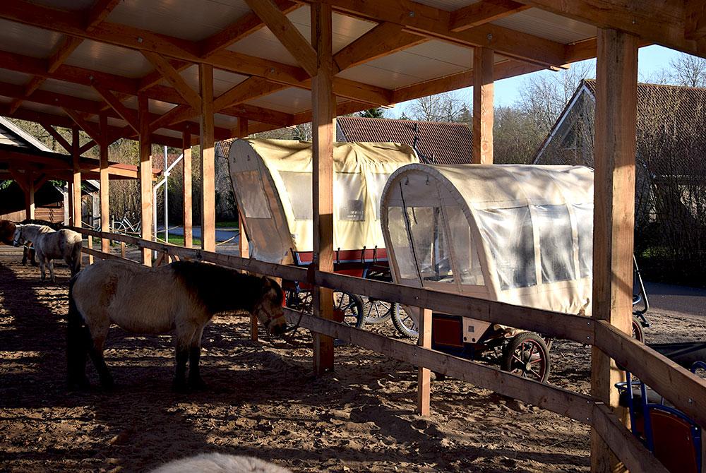 Pony's, Landal Het Land van Bartje