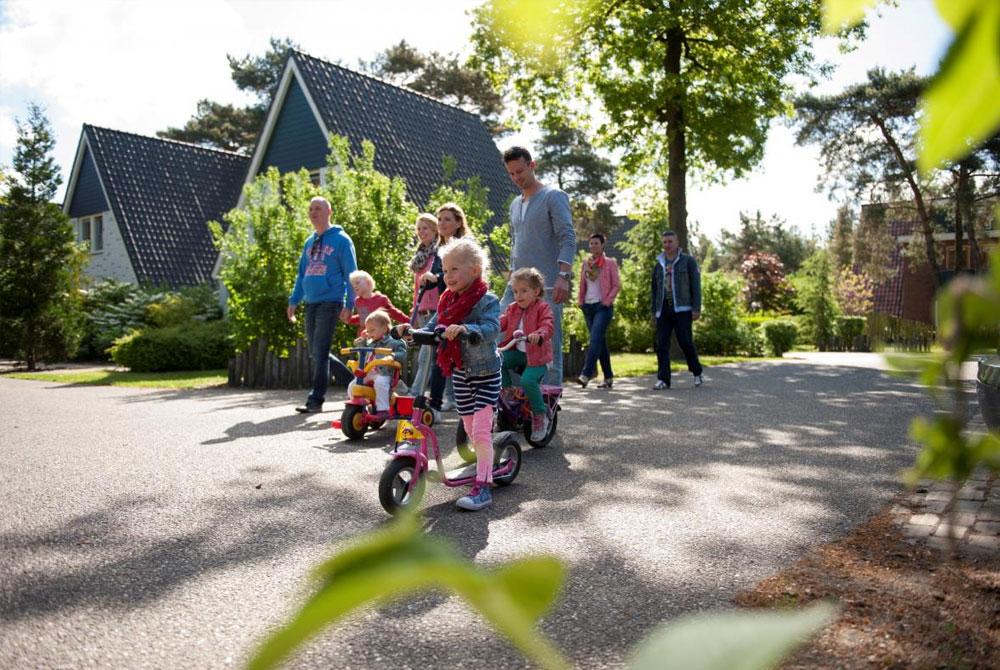 Roompot De Katjeskelder