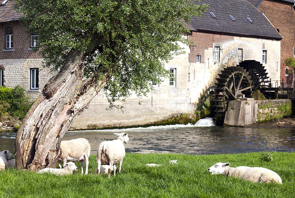 Wijlre, mooiste dorpen Zuid-Limburg