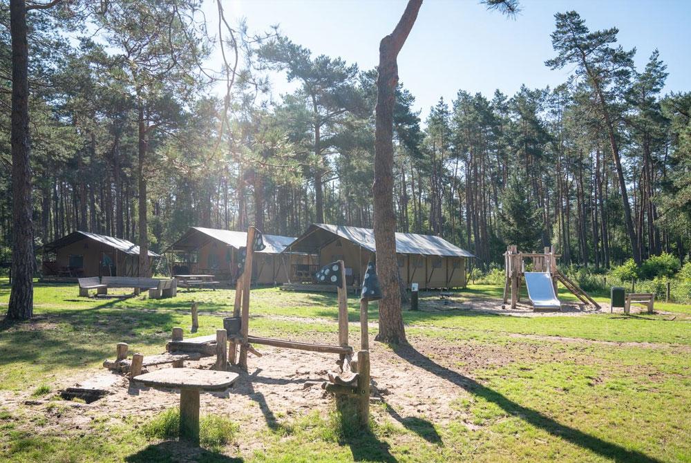 Landal Coldenhove, safaritent