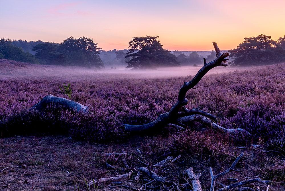 Brunsummerheide, roadtrip Zuid-Limburg