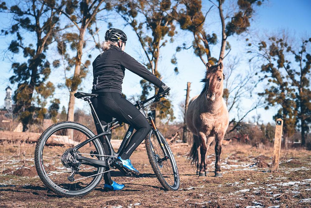Mountainbike, Landal Kasteeldomein De Cauberg
