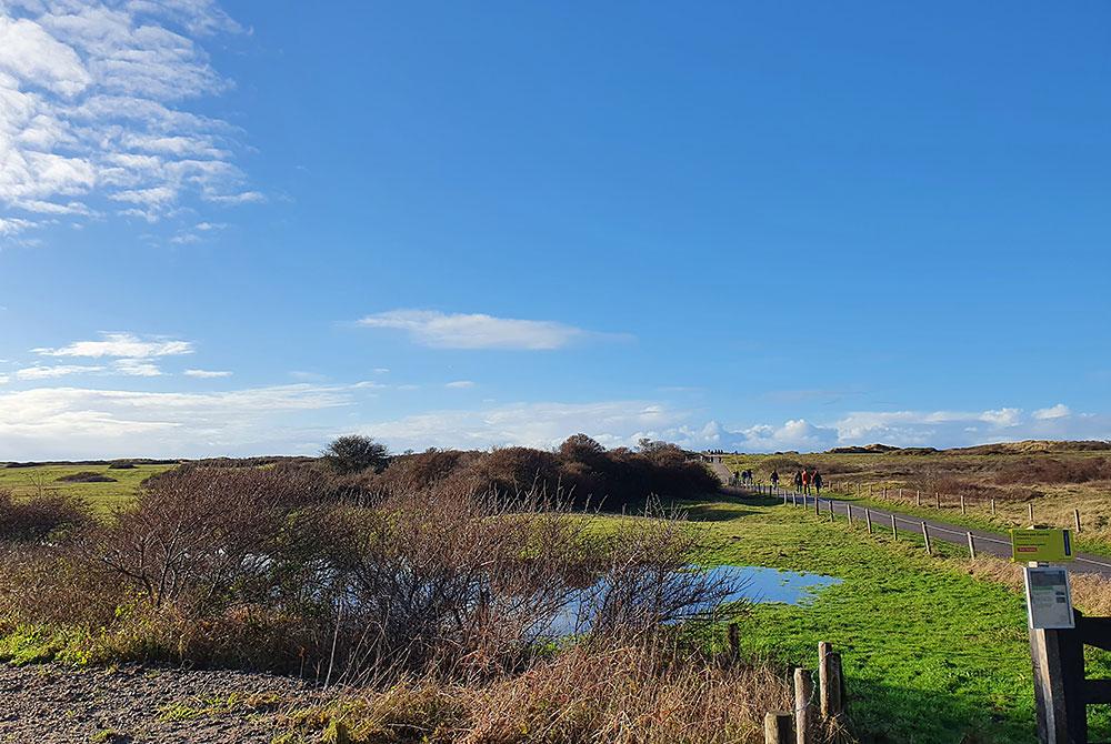 De Punt natuurgebied, Oasis Punt-West Hotel & Beach Resort  