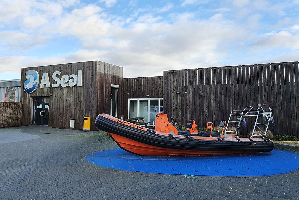 A Seal Stellendam