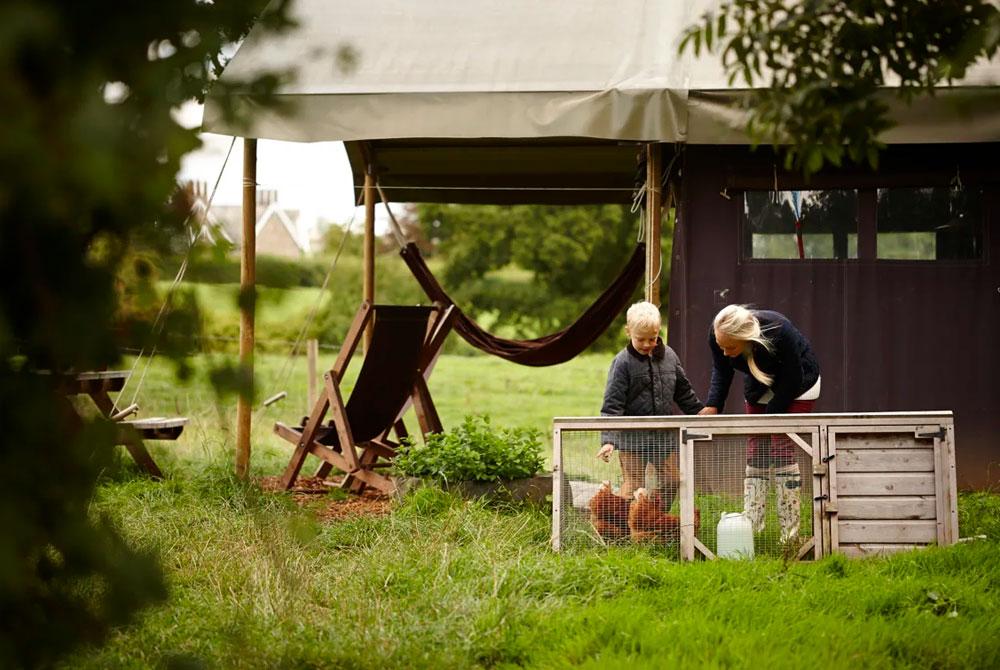 Logeren bij de boer, Roompot