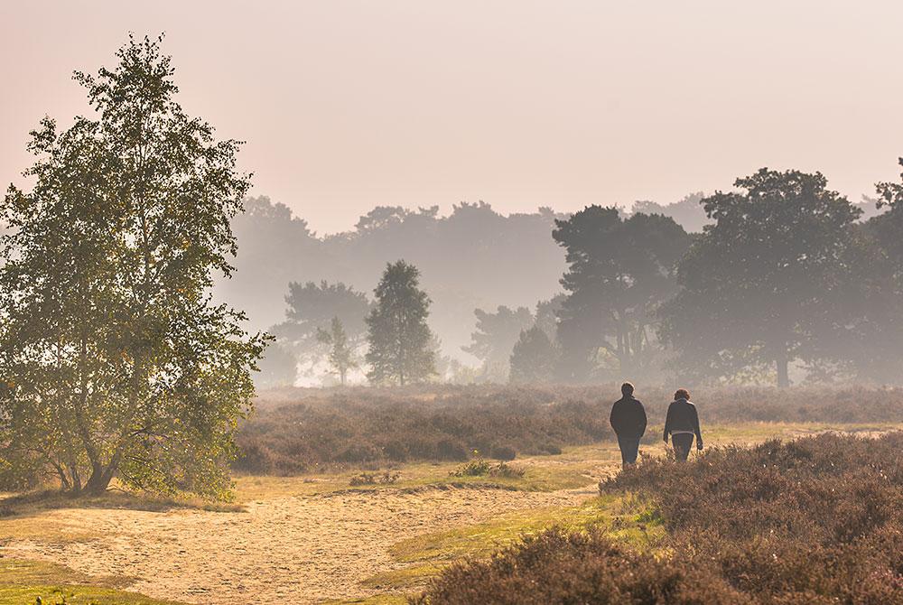 NS-wandeling Veluwezoom, mooiste wandelroutes Nederland