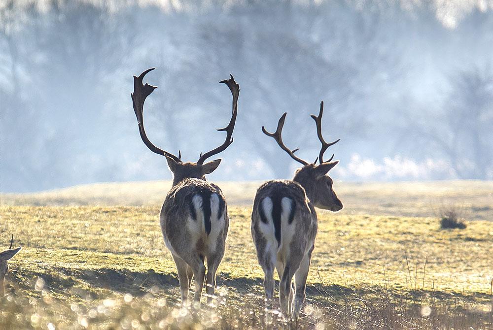 Wandelroute Waterleidingduinen, mooiste wandelroutes Nederland