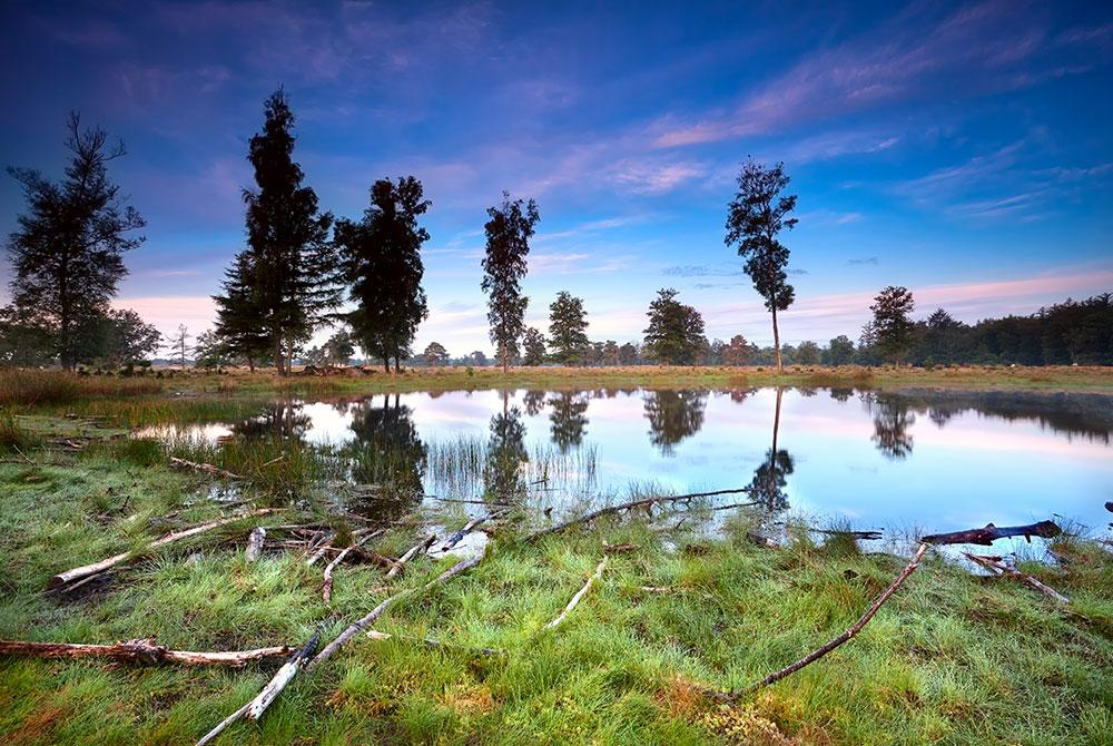 Wandelroute Nationaal Park Drents-Friese Wold, mooiste wandelroutes Nederland