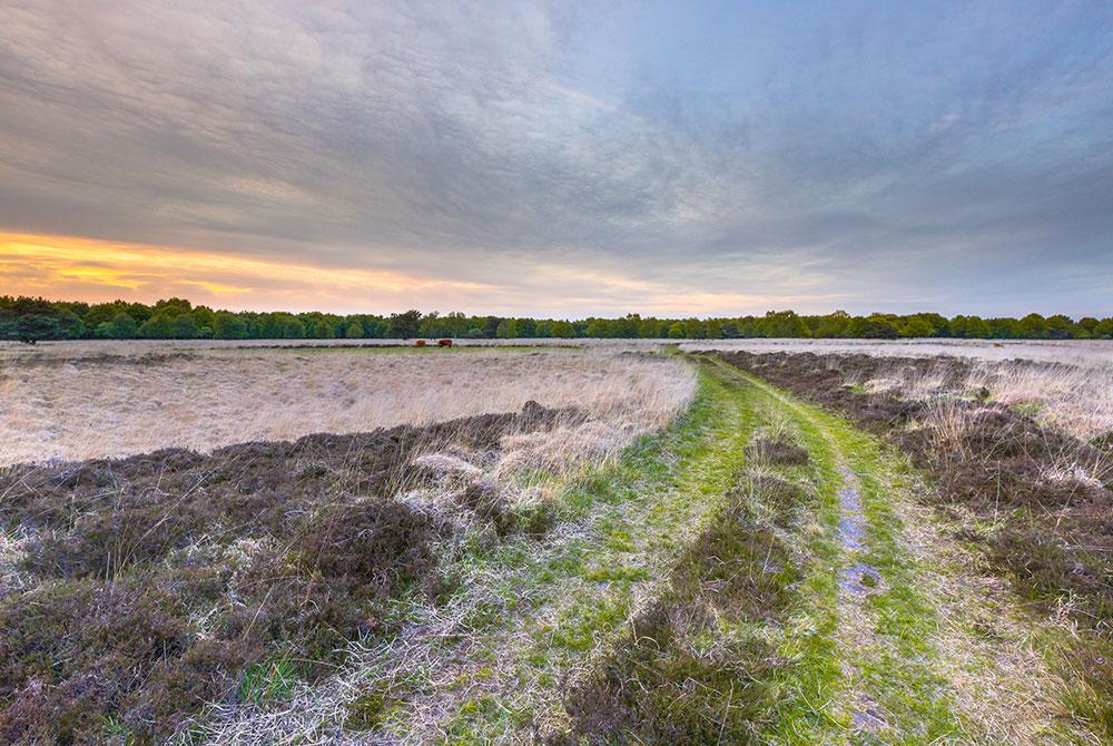 Boswachterspad Ballooërveld, wandelroutes Nederland