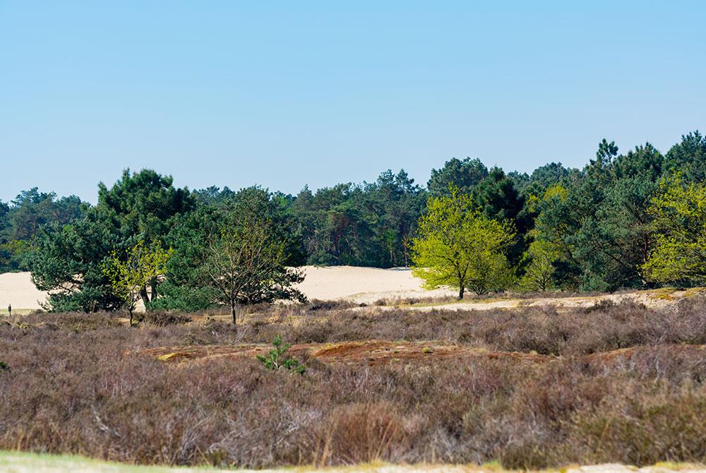 Wandelroute Loonse en Drunense Duinen, Mooiste wandelroutes Nederland
