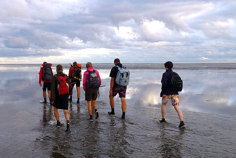 Wadlopen, bezienswaardigheden en activiteiten aan de Nederlandse kunst