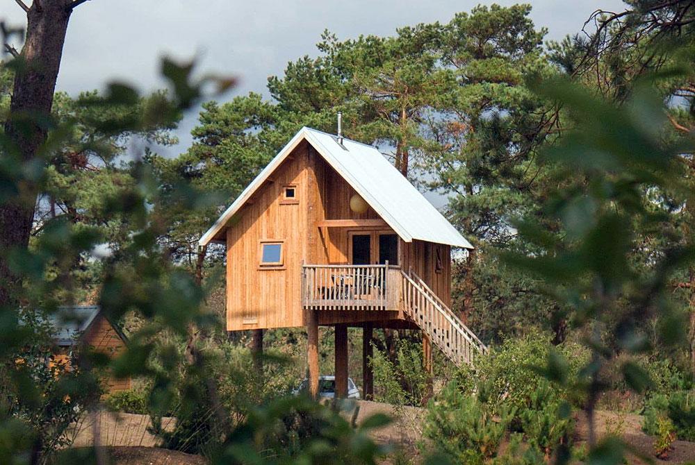 Boomhut op de Veluwe