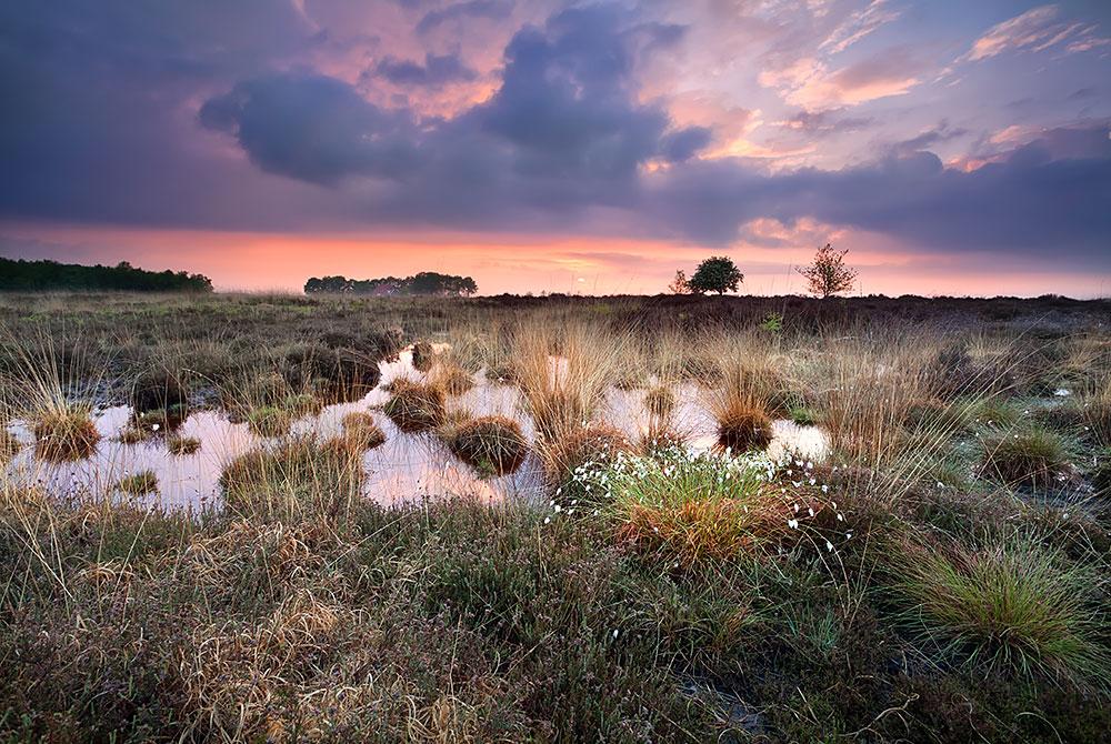 Fietsroutes Drenthe