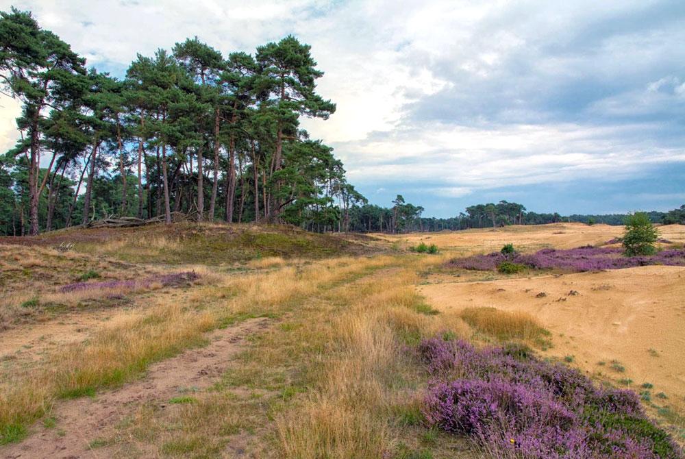 Wekeromse Zand, wandelen Veluwe