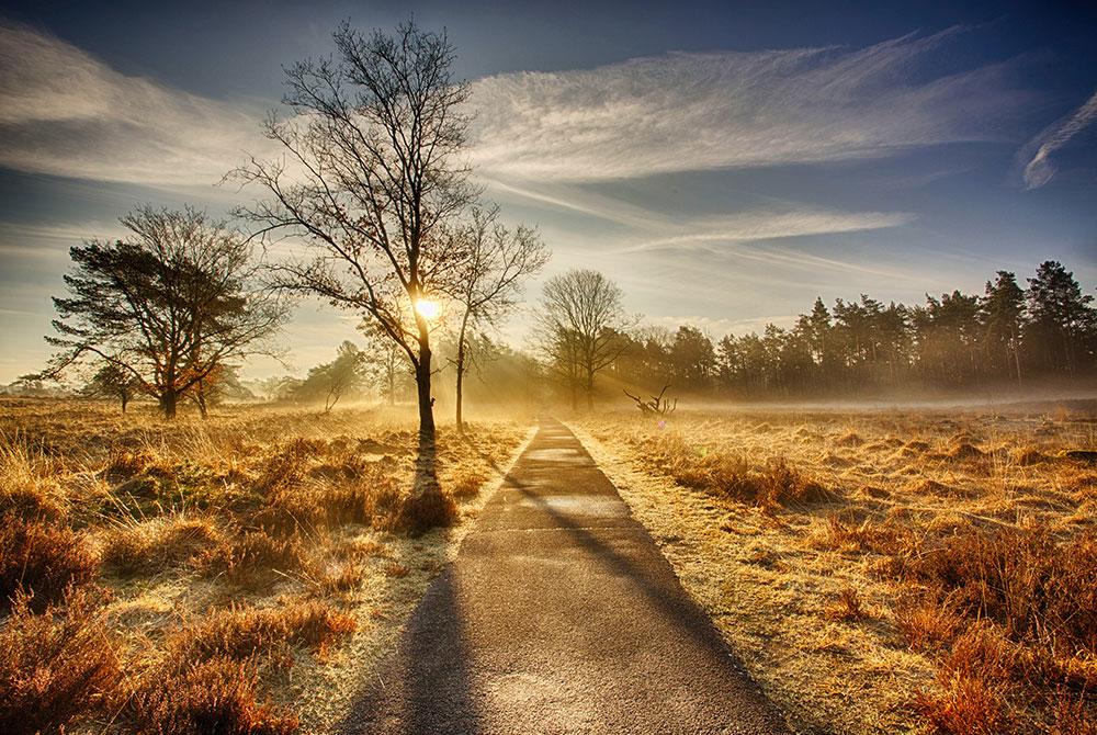 Hoog Buurlose Heide, wandelen Veluwe