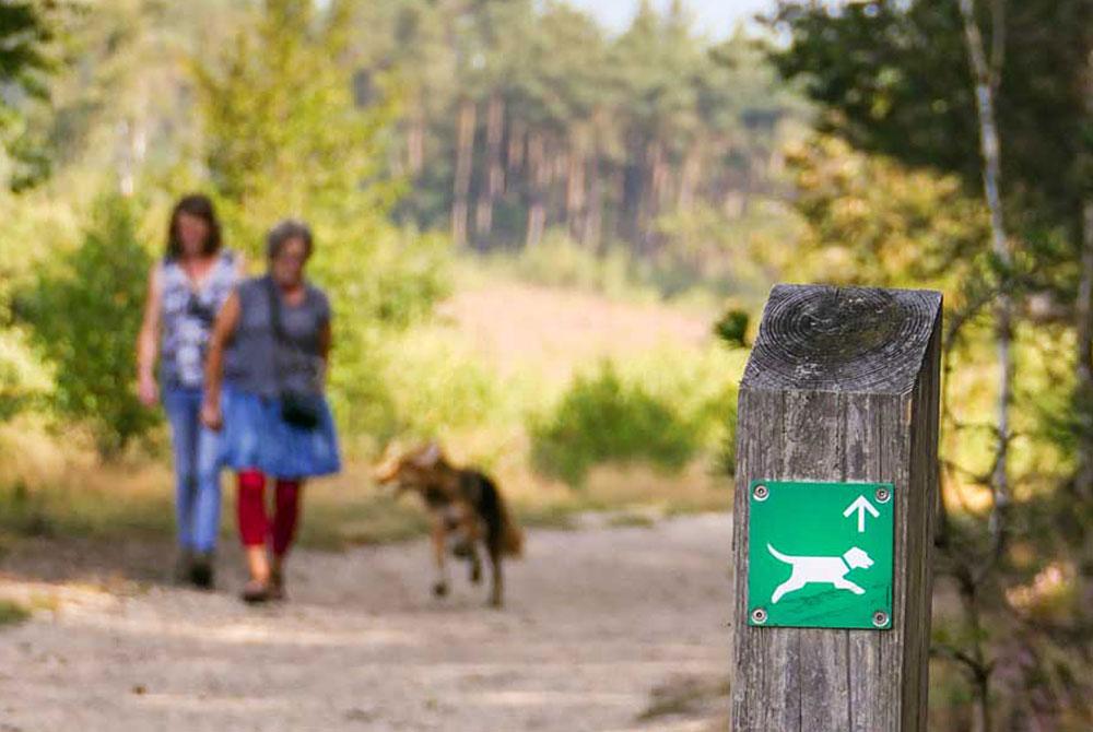Natte Neuzenroute, wandelen Veluwe