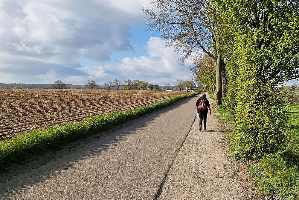 Wandelen, Landal Kasteeldomein De Cauberg