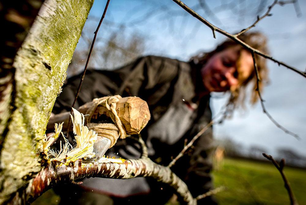 Geopark De Hondsrug, roadtrip Drenthe