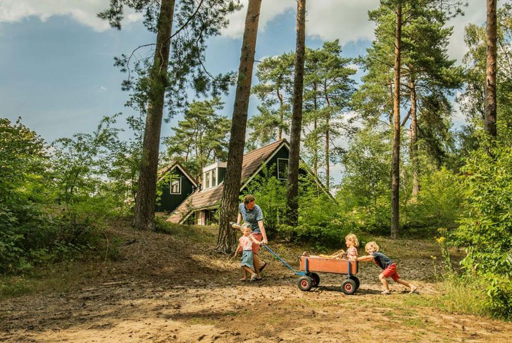 Landal Coldenhove aanbieding