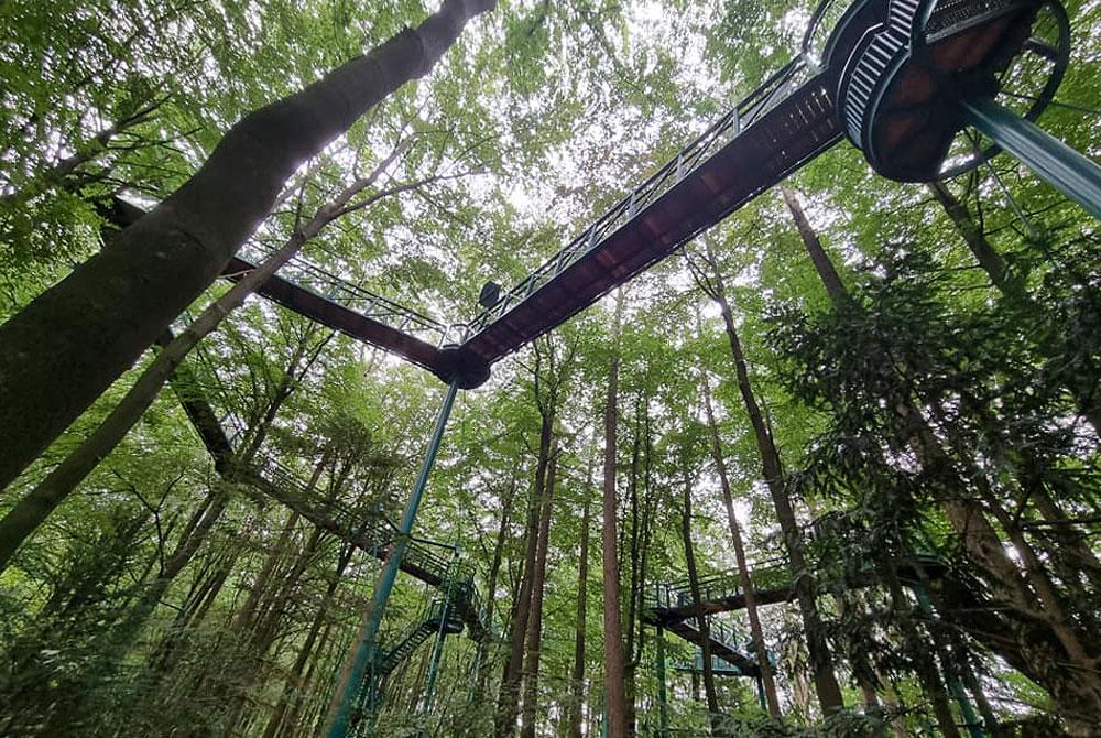 Boomkroonpad, Vakantiepark Hunzedal