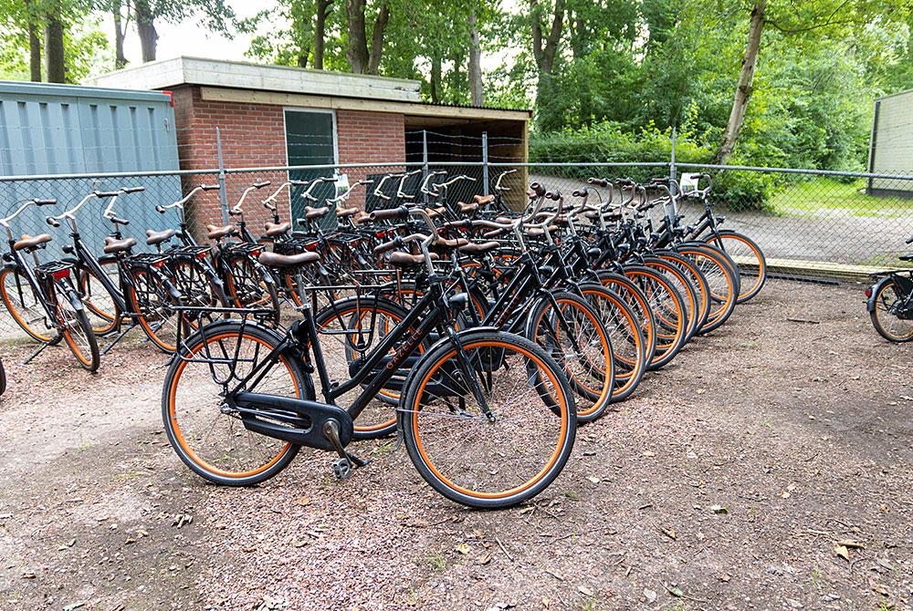 Fietsen bij Vakantiepark Hunzedal