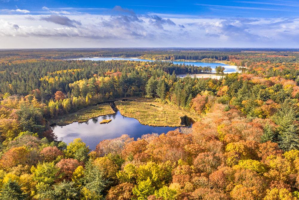  't Gasselterveld en 't Nije Hemelriek
