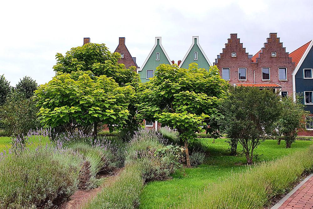 Marinapark Volendam review