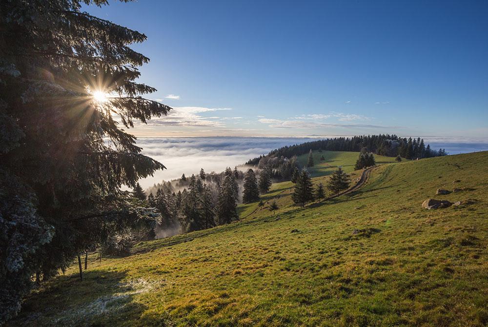 Schauinsland, mooiste plekken & bezienswaardigheden in het Zwarte Woud