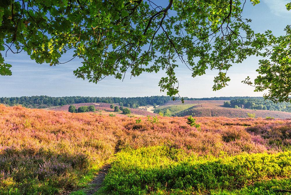 Nationaal Park Veluwezoom, roadtrip Veluwe